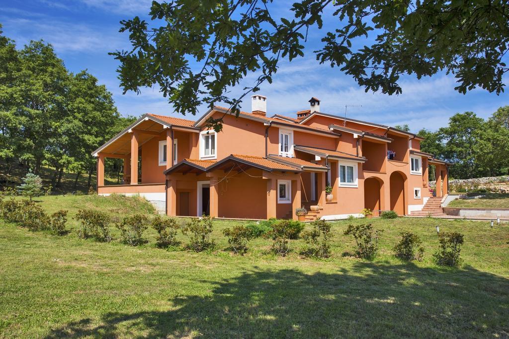 Apartament Matelici *