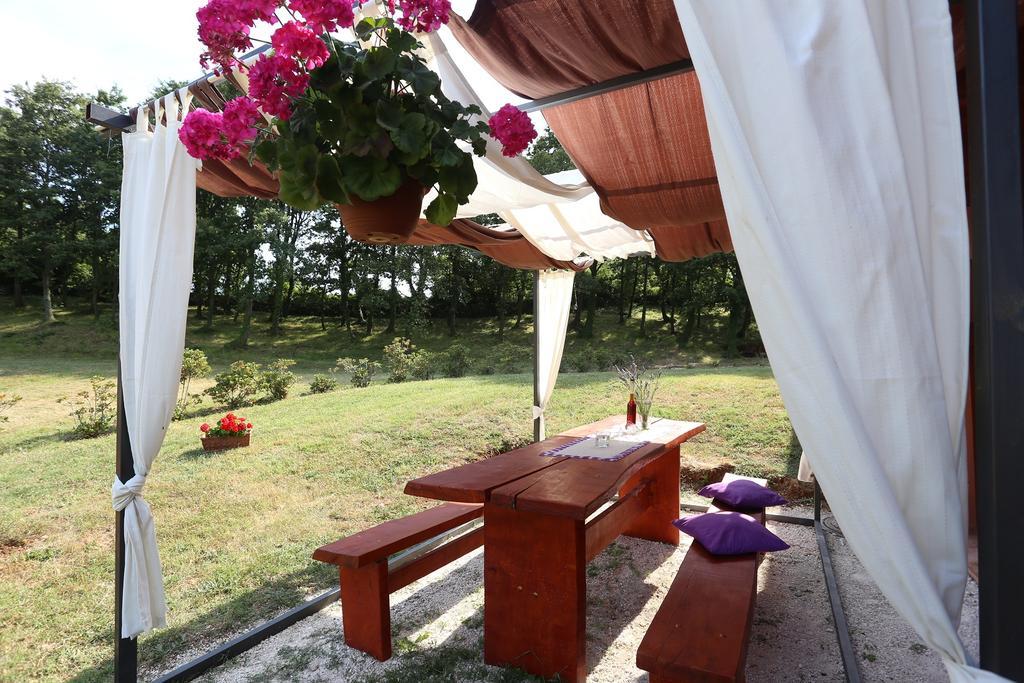 Matelici Divsici
